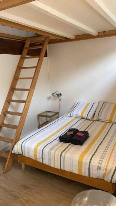Le Saint-Lazare Appartement Au Calme Intra Muros Avignon Exteriör bild